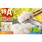 さがびより 白米 10kg