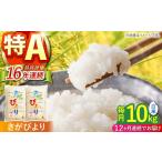 さがびより 白米 10kg