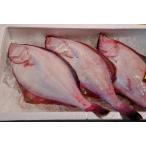 豊浦 噴火湾 水揚げ 生アカガレイ 約2kg