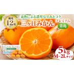 三ヶ日みかん プレミアム 早生 5kg