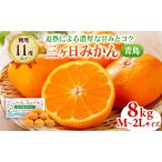 三ヶ日みかん 青島 8kg