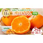 ふるさと納税 先行予約 青島みかん M〜2Lサイズ サイズ混在 5kg 三ヶ日みかん 果物 くだもの フルーツ 旬の果物 旬のフルーツ みかん 蜜柑 ミカ.. 静岡県浜松市