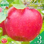 りんご 葉とらず サンふじ 訳あり 3kg