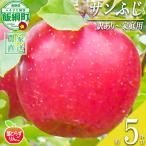 りんご 葉とらず サンふじ 訳あり 5kg