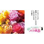 バラ風呂セット 24輪 薔薇 特産 名物 ばら
