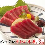 天然本マグロ 中トロ 赤身 マグロセット eb015