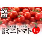 予定 完熟ミニトマト 360g