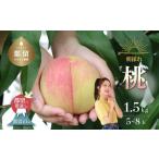 ふるさと納税 日本一の産地 山梨県産　朝採れ桃 約1.5kg 以上(５〜７玉）【2026年 先行予約】もも フルーツ 山梨県都留市