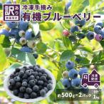 令和8年産〈冷凍〉手摘み有機ブルーベリー1kg 500g