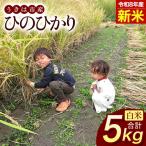ぶんぶんファーム 自然栽培 ひのひかり 白米 5kg