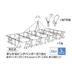 安江式まじかるピンチハンガーII36P