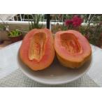 fu.... налог [ большой земля. ...]... производство фрукты папайя (2~4 шар ) Okinawa префектура ...