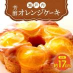 瀬戸内芳醇オレンジケーキ 産ネーブルオレンジ