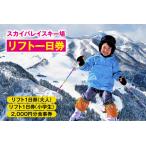 チケット スカイバレイスキー場 リフト券