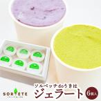 素材の味を楽しめる 旬のジェラート 120ml×6個セット
