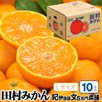 有田育ちのはるか みかん 訳あり 10kg+200g