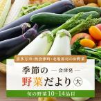 会津発 季節の野菜だより 大 2名様1週間分相当
