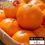 糖度 12.5度以上 訳あり みかん 5kg