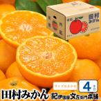田村みかん 秀品 4kg