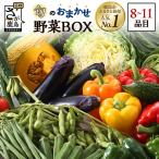 旬のおまかせ野菜BOXセット 旬の野菜