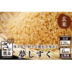 夢しずく 玄米20kg定期便 R-6