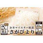 さがびより 定期便 3ヶ月 白米 10kg