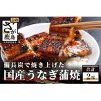 D-6 うなぎの蒲焼 2尾入り