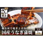 E-5 うなぎの蒲焼 3尾入り