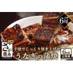 I-20 うなぎの蒲焼 1尾入り