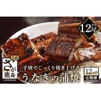 P-5 うなぎの蒲焼 1尾入り