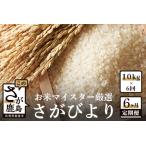 定期便 6ヶ月 さがびより 白米 10kg