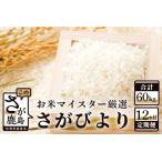 定期便 12ヶ月 さがびより 白米 5kg