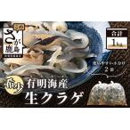 希少 新物 生クラゲ1kg ビゼンクラゲ AA-32