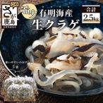 有明海産 生クラゲ 2.5kg