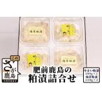 B-451 肥前鹿島 粕漬詰合せ 野菜粕漬