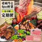 壱岐牛と旬の野菜定期便 肉 黒毛和牛