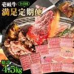 壱岐牛 満足定期便 和牛 黒毛和牛