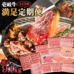 壱岐牛 満足定期便 和牛 黒毛和牛