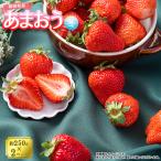 福岡産あまおう2パック 4A1