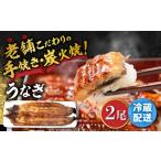 鰻 蒲焼き2尾 NAI003