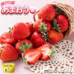 福岡産あまおう6パック 4A4