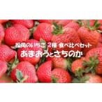 いちご2種食べ比べセット あまおう さちのか