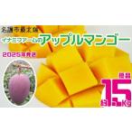 ふるさと納税 【2025年発送】名護市最北端イナミファームの 優品 アップルマンゴー 約1.5kg フルーツ 果物 期間限定 数量限定 マンゴー 南国 .. 沖縄県名護市