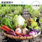 佐賀産季節の旬野菜10種類 栽培期間中農薬