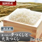 令和7年産 産米食べ比べ 無洗米 夢つくし