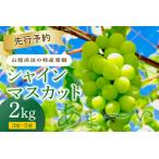 ふるさと納税 【先行予約】【2025年産】山陰浜田の特産果樹「シャインマスカット」2kg <8月下旬より発送> 【010_1946】 島根県浜田市