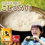 金城町産こしひかり5Kg 米 お米 精米 白米 5キロ
