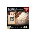 農家直送 魚沼産コシヒカリ特別栽培 白羽毛の米