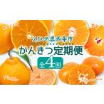ショッピング甘平 ふるさと納税 【先行予約・12月〜発送】かんきつ定期便（全4回）【紅まどんな 甘平 アンコール デコポン】 愛媛県 西条市 愛媛県西条市