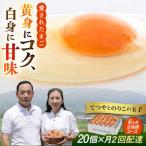 卵 20個×6ヶ月